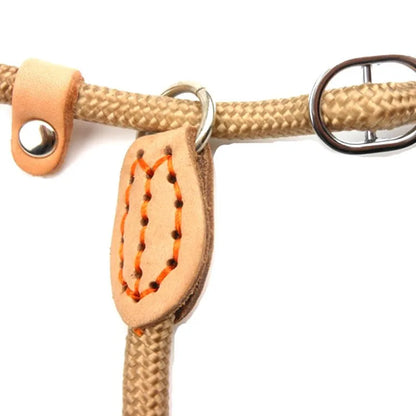Heavy Duty Braided Rope Dog Leash - Slip Lead with Adjustable Loop Collar, Ideal for Training Medium and Large Dogs