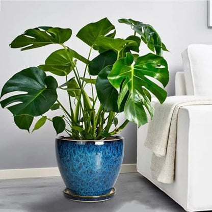 Compact Ceramic Plant Pot with Drainage Tray - Breathable Earthenware Planter for Patio & Home Plants