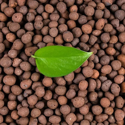 1LB Reusable Hydroponic Clay Pebbles - Lightweight Natural Clay Balls for Gardening & Plant Growing