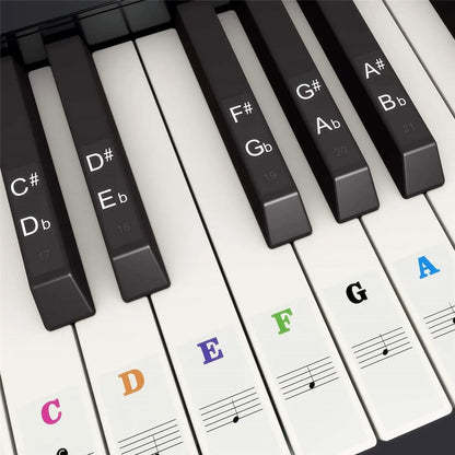 Piano Keyboard Note Stickers - Removable Music Key Labels for 37 49 54 61 88 Key Electronic Pianos & Keyboards