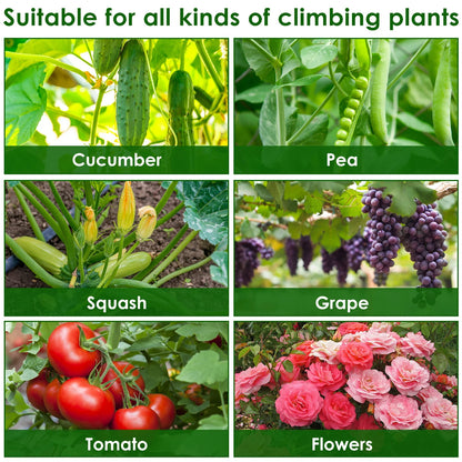 A-Frame Garden Trellis Kit - Rustproof Vegetable Climbing Support with Net for Cucumbers & Outdoor Plants