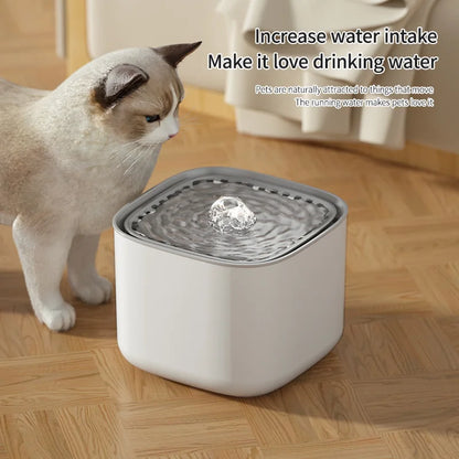 3L USB Cat Water Fountain – Automatic Filtered Water Dispenser for Cats