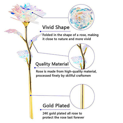 Valentine's Day 24K Foil Plated Rose – Gold Rose Lasts Forever, Creative Wedding & Love Decor, 5-50PCS Gift Set