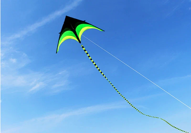 Large Decorative Show Kite - Professional Outdoor Wind Kite with Butterfly Snake Koi Design