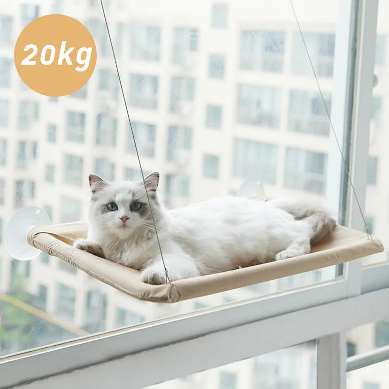 Cat Hammock Bed: Comfortable Hanging Window Seat for Cats - Supports Up to 20kg, Perfect Kitten Climbing Frame