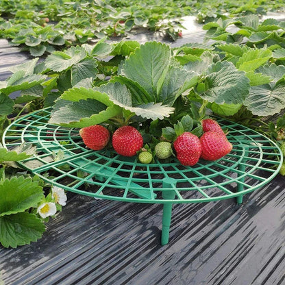 Strawberry Supports Fruit Stand | Vegetable Growing Rack for Garden | Protecting Vines Gardening Tool