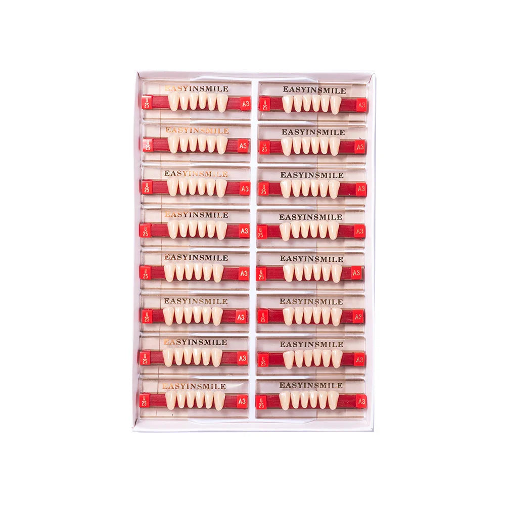 16/12 Set Dental Denture Teeth Model Kit, Upper & Lower Anterior Synthetic Polymer Teeth A2 A3 for Dental Education & Training