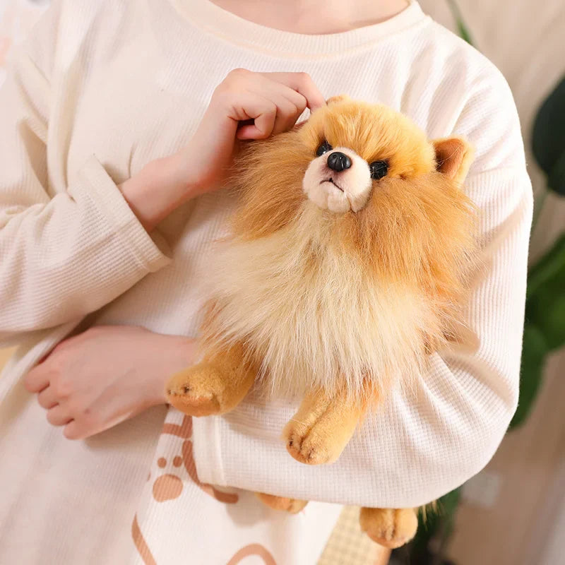 Realistic Pomeranian Plush Toy - Cute Soft Stuffed Puppy for Kids, Girls, Xmas Gifts & Home Decor