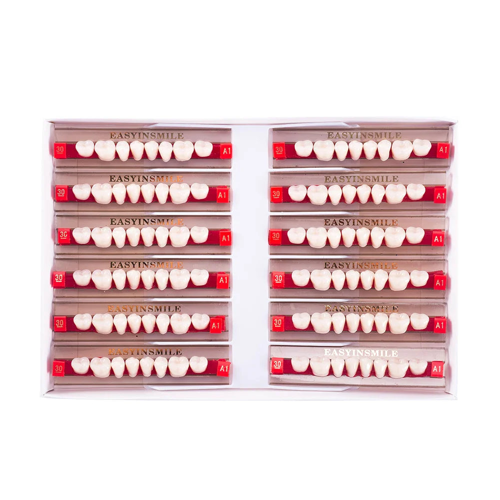 16/12 Set Dental Denture Teeth Model Kit, Upper & Lower Anterior Synthetic Polymer Teeth A2 A3 for Dental Education & Training