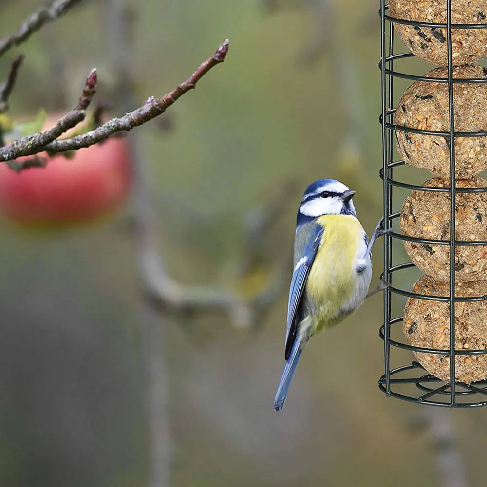 Hanging Bird Seed Feeder - PVC Tube Wild Bird Feeder for Garden, Paddock & Outdoor Pet Supplies