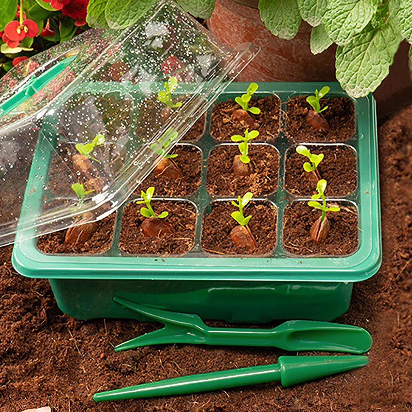 LED Grow Light with 6/12-Hole Seed Starter Trays — Indoor Plant Germination & Seedling Growing Box