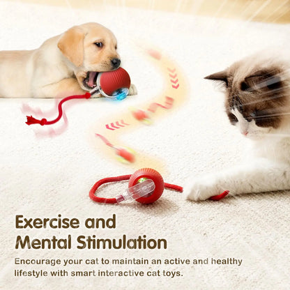 Cat Interactive Ball Toy – Automatic Rolling Ball with Tail, Rechargeable Smart Pet Toy, Intelligent Mouse for Cats