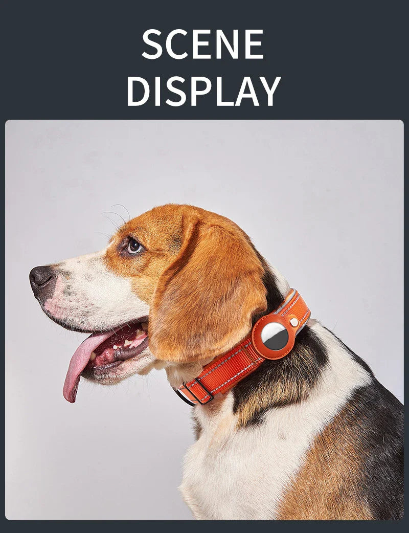 Reflective Heavy-Duty Dog Collar with Adjustable AirTag Holder — For Small, Medium & Large Dogs