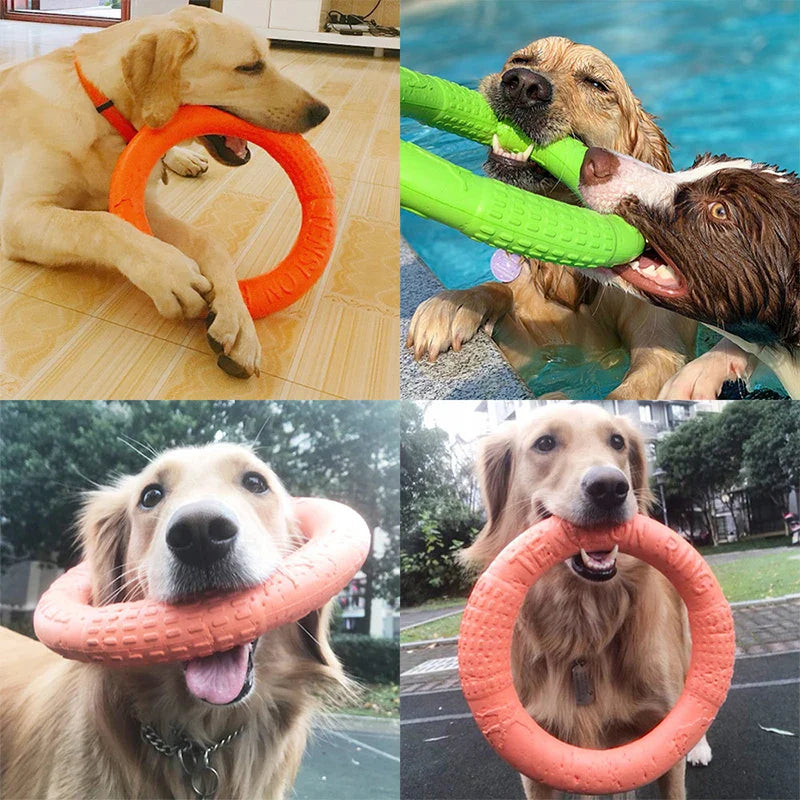 Dog Toy Training Ring Puller and Flying Disk – Interactive Chewing Toys for Puppies | Outdoor Game Supplies