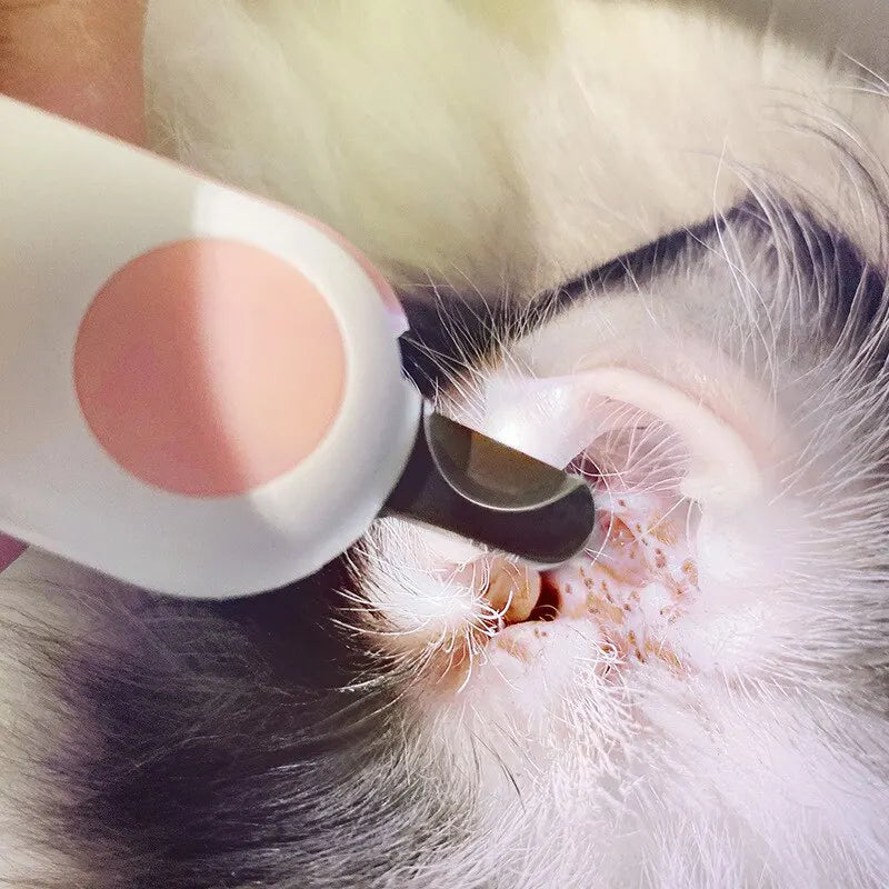 LED Light Pet Nail Clipper Cutter: Professional Claw Trimmer with Safety Lock - Grooming Tool Kit for Cats, Dogs, and Other Animals