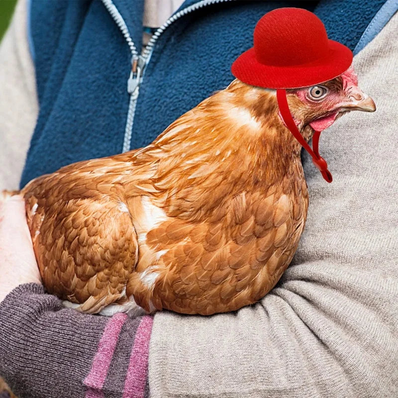 Tiny Pets Chicken Hat - Funny Hen Top Hat for Roosters, Ducks, Parrots, Hamsters - Poultry Stylish Show Costume