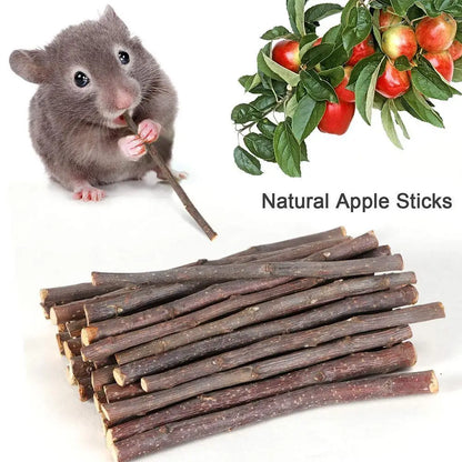 100% Natural Apple Branch Rabbit Chew Sticks – Wooden Teeth Cleaning Toys for Rabbits, Hamsters, Guinea Pigs & Small Pets, Natural Molars Care Chew Treats