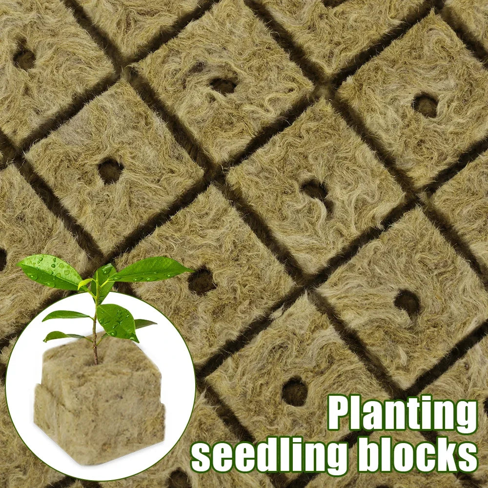 Seedling Grow Cubes — Stonewool Soilless Hydroponic Blocks for Vegetable & Plant Growing