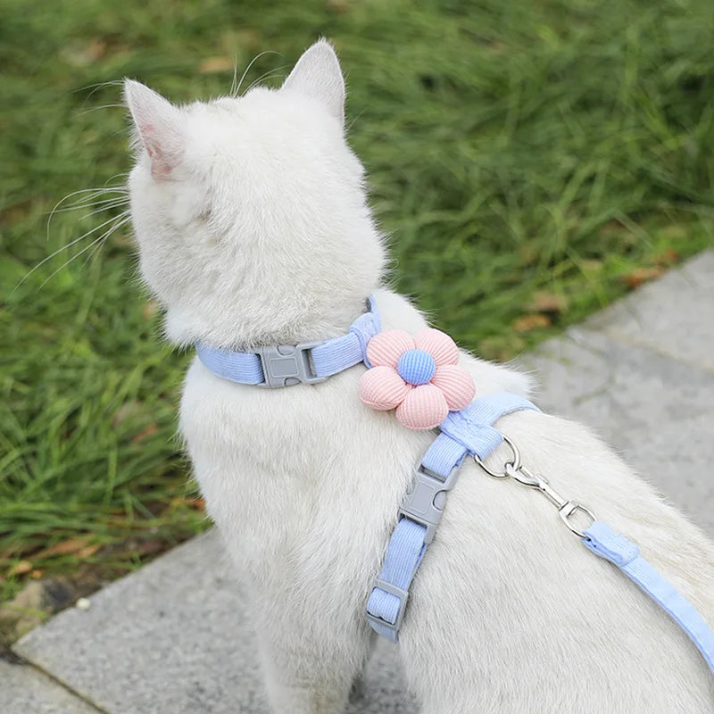 Adjustable Cat & Small Dog Harness with Leash – Breathable Pet Walking Strap Set