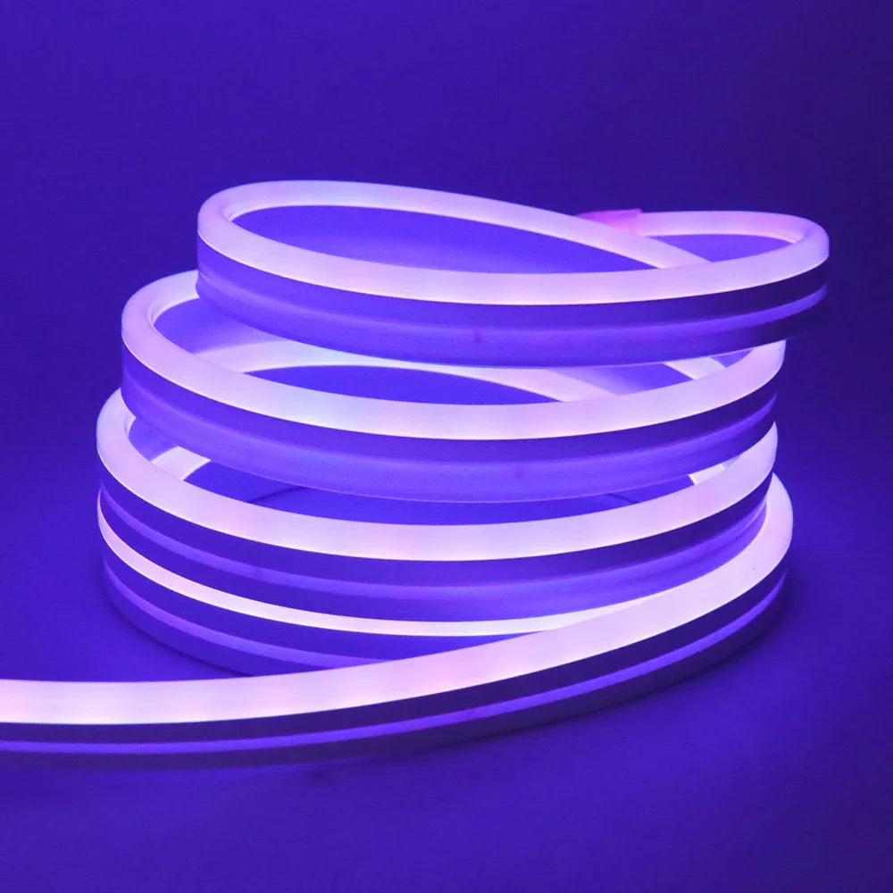 EU Plug DC24V RGB Neon LED Strip – 3535 Bluetooth Music Sync Waterproof Rope Light, 5-30M for Indoor & Outdoor Decor