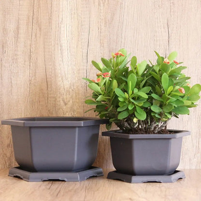 Hexagon Flower Pots – Succulent Box Planter, Plant Container for Home & Office Decor