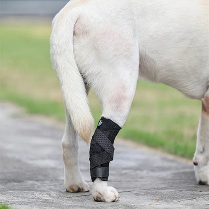 Dog Leg Support Brace: Updated Arthritis Protector Cover for Dogs - Hock Joint Brace for Injury Recovery & Arthritis Relief