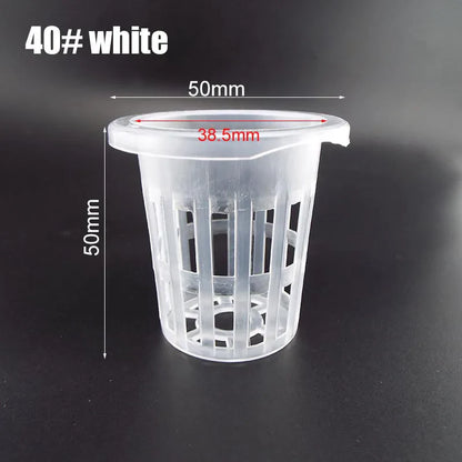 50pcs Hydroponic Mesh Net Baskets — Soilless Plant Nursery Cups for Veggie & Clone Growth