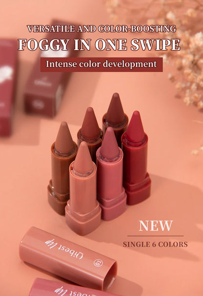 Twist-Up Lip Liner & Lipstick Pen – Multipurpose Velvet Matte Waterproof Lip Contour & Powder Blusher Rouge Makeup