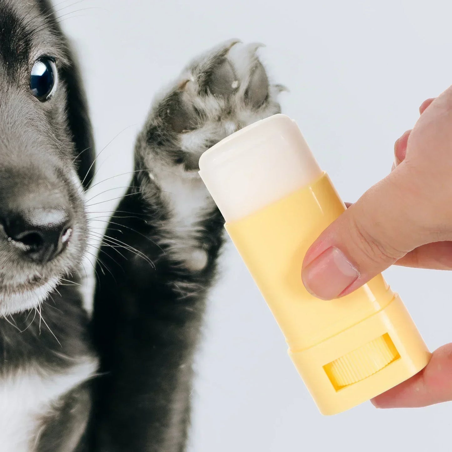 15g Pet Paw Balm for Dogs and Cats - Moisturizing Foot Cream, Winter Care Grooming Supplies