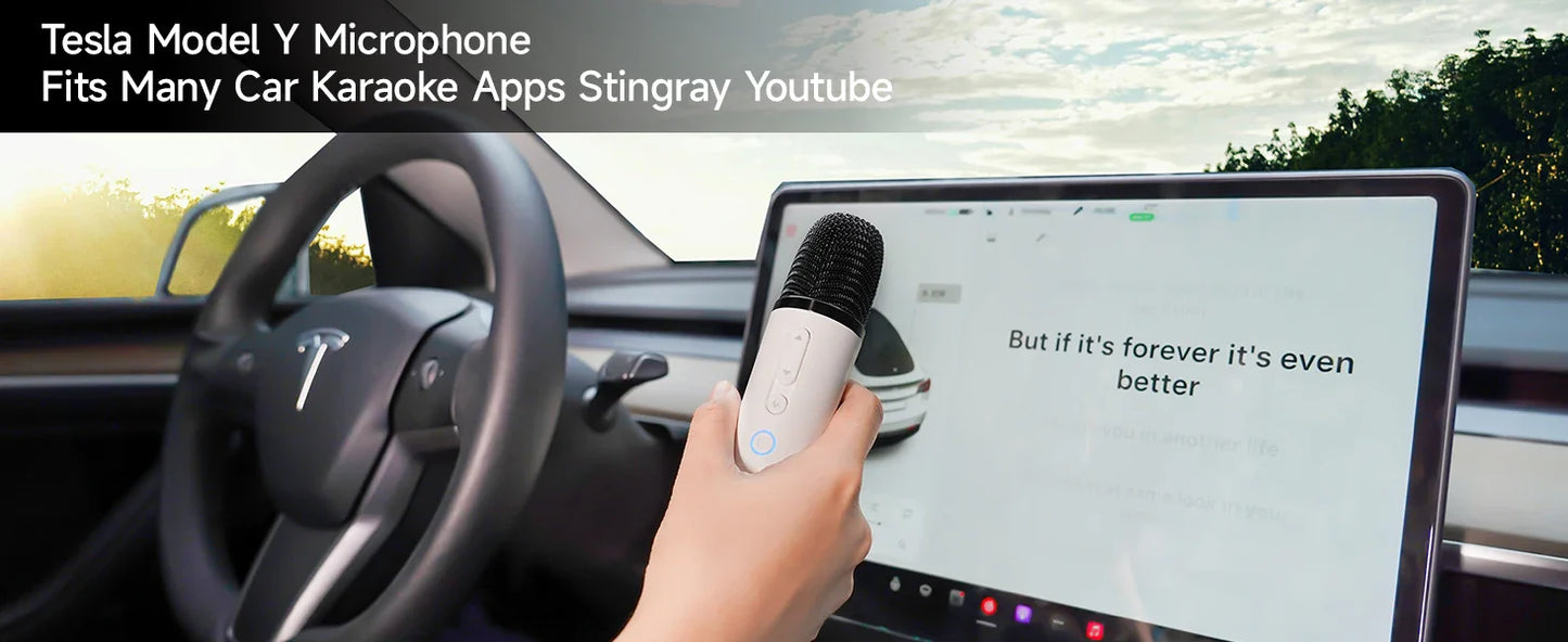 Q1 Tesla Wireless Handheld Microphone – Karaoke Mic with 4 Joy Effects, Rechargeable, Type-C Receiver & USB Converter