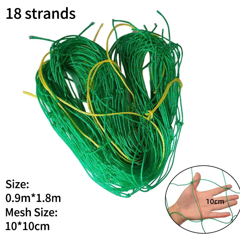 4.79599E+13