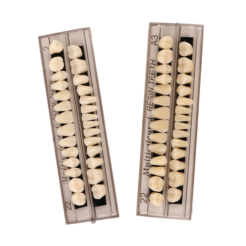 28-Teeth Resin Denture Comparator – Dental Mirror & Bleaching Plate for Dentistry Education & Research