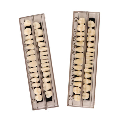 28-Teeth Resin Denture Comparator – Dental Mirror & Bleaching Plate for Dentistry Education & Research