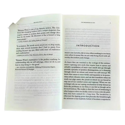 The Mountain Is You – Transforming Self-Sabotage Into Self-Mastery, English Book