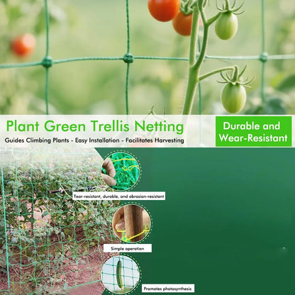 Heavy Duty Garden Nylon Climbing Net – Polyester Vine Support Mesh for Cucumbers, Tomatoes & Grapes