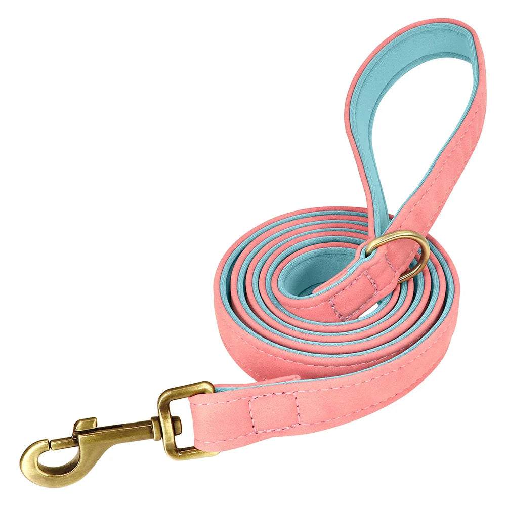 Customized Leather Dog Collar & Leash Set – Soft Padded Adjustable Collar for Small, Medium & Large Dogs with Engraved Nameplate
