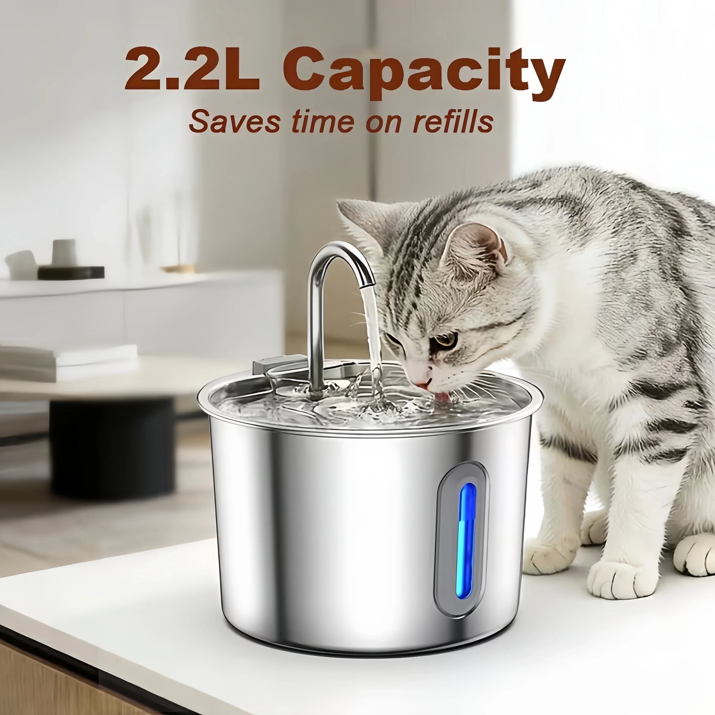 Automatic Cat Water Fountain - Stainless Steel Dog & Cat Water Dispenser with Filter