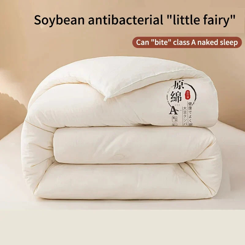 Raw Cotton & Soybean Quilt – Thickened Spring, Autumn & Winter Comforter