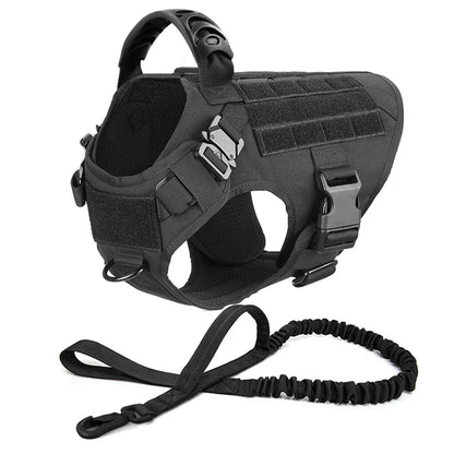 Large Dog Harness & Leash Set — Training & Walking Vest for German Shepherd, Malinois