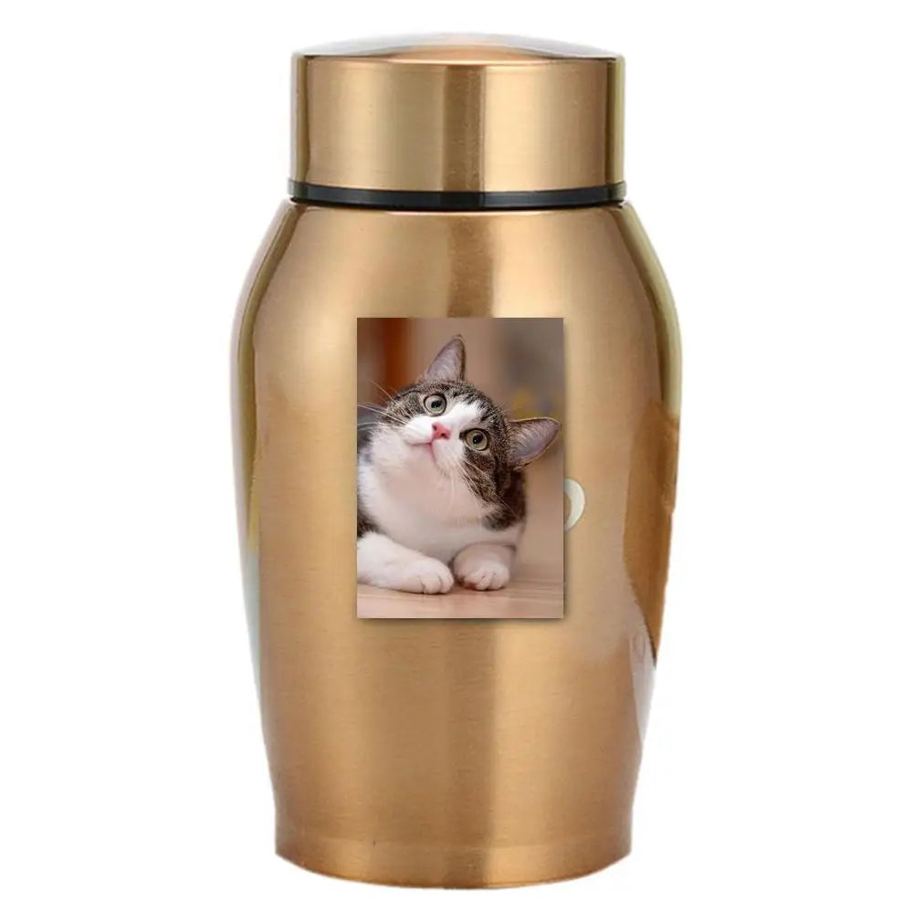Multi-Colored Stainless Steel Pet Urn – Dog, Cat, Bird, Mouse Cremation Ashes Jar, Sealed Memorial Souvenir