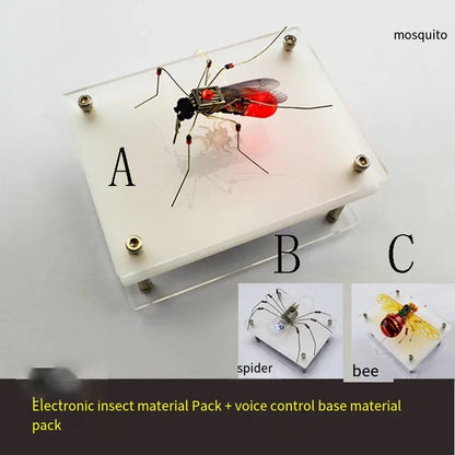 DIY Robotic Insect Kit - STEAM Science Electronic Animal Building Toy