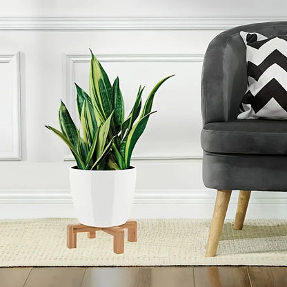 Multi-Level Plant Shelf - Durable Square Stand for Succulents, Cacti & Flower Pots