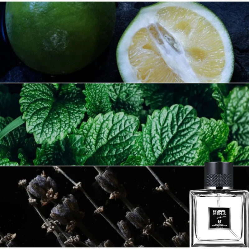 Blue Genuine Men’s Perfume, Citrusy Fresh Flowers & Fruits Fragrance, Long-Lasting Eau De Toilette