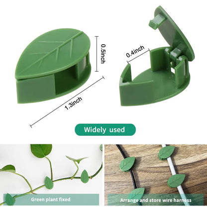Versatile Plant Wall Fixture and Bracket - Secure Your Rattan Vines with Leaf Clips and Traction Holder for Gardens