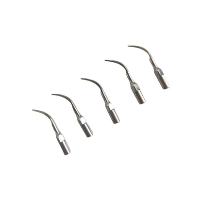 5PCS Dental Scaler Tips for EMS Woodpecker Ultrasonic Scaler Handpiece – Scaling Tips