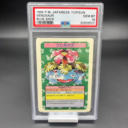 DIY 2023 PTCG Van Gogh Pikachu & Grey Felt Hat Collection Card – 10-Point Rating Anime Game Card Gift Toy