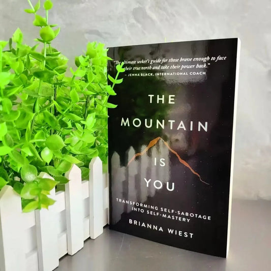 The Mountain Is You – Transforming Self-Sabotage Into Self-Mastery, English Book