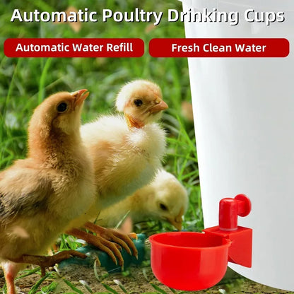 Automatic Chicken Drinking Cup Feeder | Plastic Poultry Waterer for Chicks, Duck, Goose, Quail