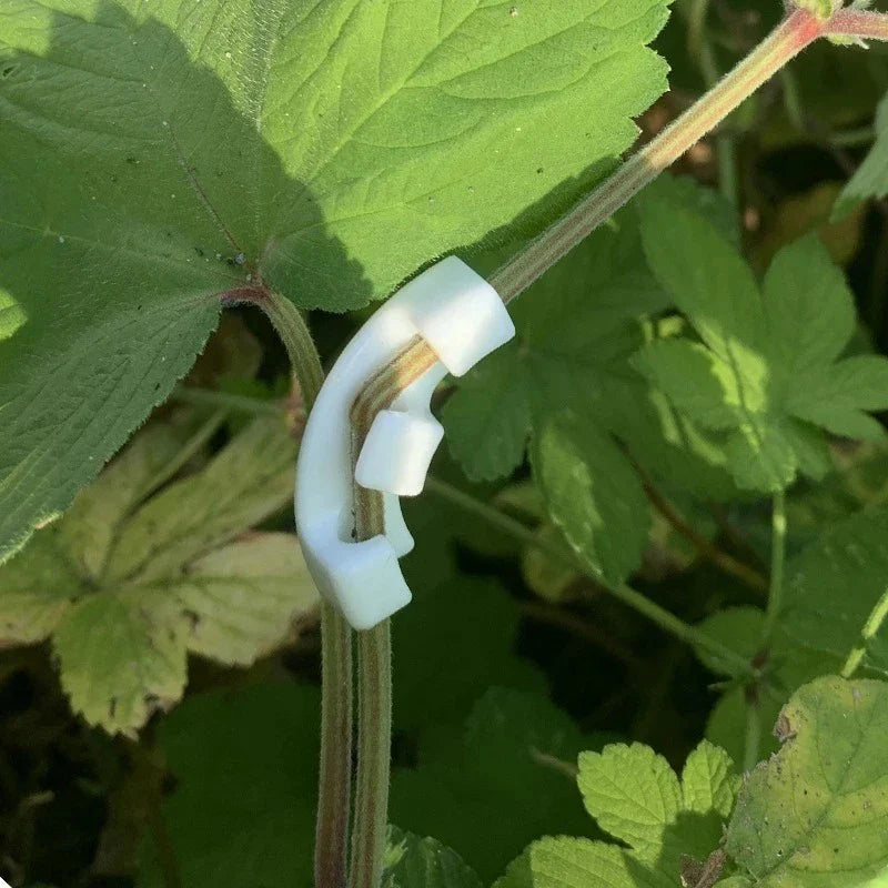10-50pcs 90 Degree Plant Benders - Growth Manipulation Tutors and Clips for Bending Twigs, Branches, and Plant Training Accessories