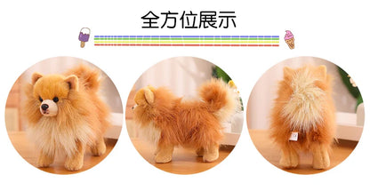 Realistic Pomeranian Plush Toy - Cute Soft Stuffed Puppy for Kids, Girls, Xmas Gifts & Home Decor